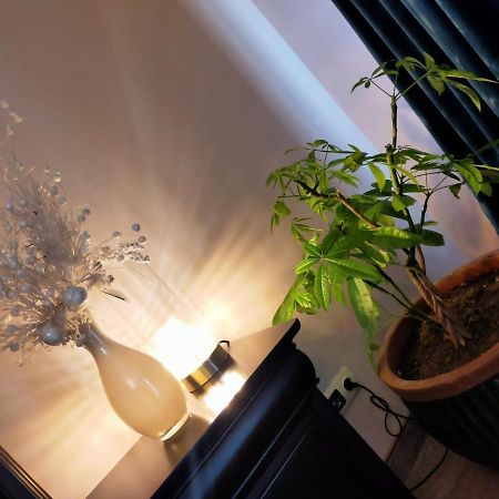 Casa Maria Roses Hotell Rîşnov Eksteriør bilde
