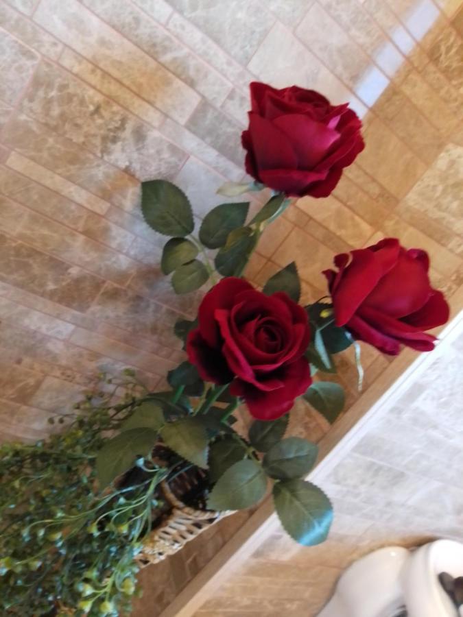 Casa Maria Roses Hotell Rîşnov Eksteriør bilde
