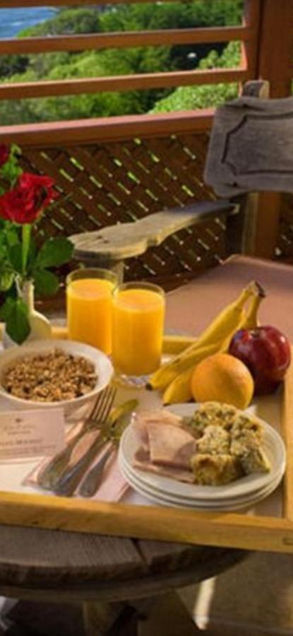Casa Maria Roses Hotell Rîşnov Eksteriør bilde
