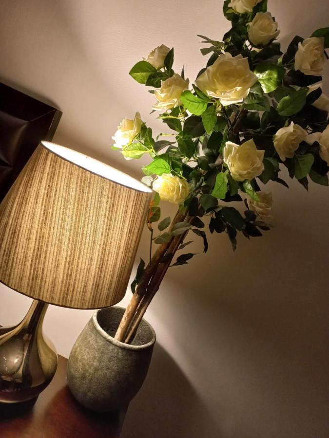 Casa Maria Roses Hotell Rîşnov Eksteriør bilde