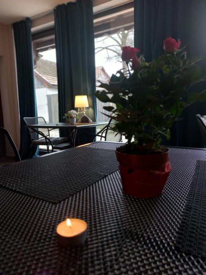Casa Maria Roses Hotell Rîşnov Eksteriør bilde