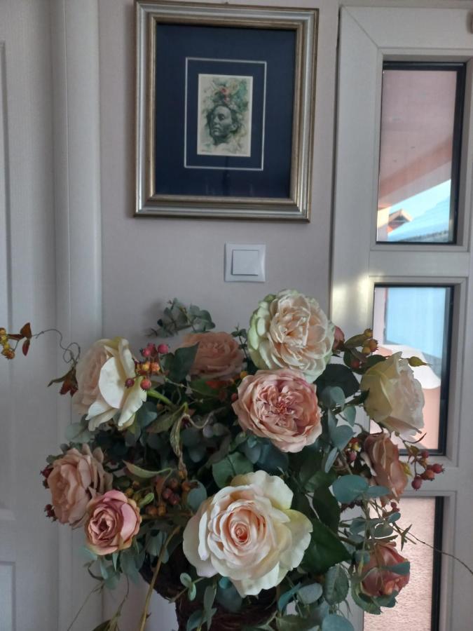 Casa Maria Roses Hotell Rîşnov Eksteriør bilde