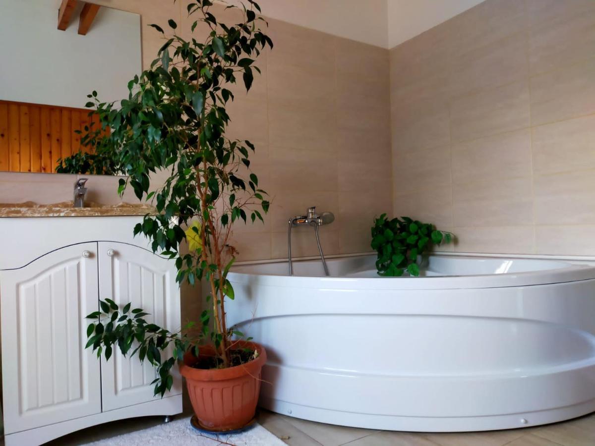 Casa Maria Roses Hotell Rîşnov Eksteriør bilde